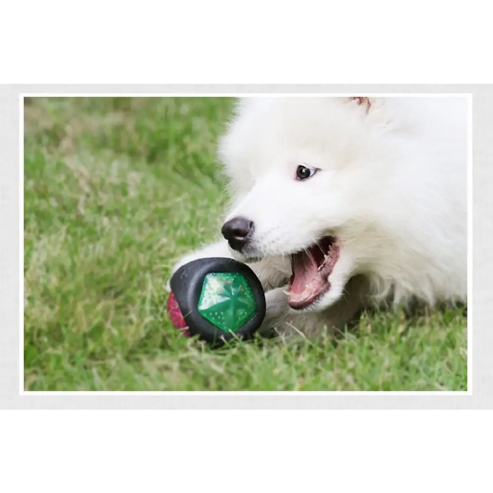 Pet Rubber Bouncing Toy Dog Chew Toy Light up Ball Squeaky Toy Bite Resistant Irregular Shape Toy