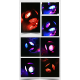 Pet Rubber Bouncing Toy Dog Chew Toy Light up Ball Squeaky Toy Bite Resistant Irregular Shape Toy