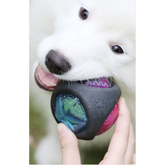 Pet Rubber Bouncing Toy Dog Chew Toy Light up Ball Squeaky Toy Bite Resistant Irregular Shape Toy - round