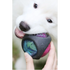 Pet Rubber Bouncing Toy Dog Chew Toy Light up Ball Squeaky Toy Bite Resistant Irregular Shape Toy - round