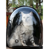 Manufacturer Direct Space Capsule Pet Backpack - cat carrier