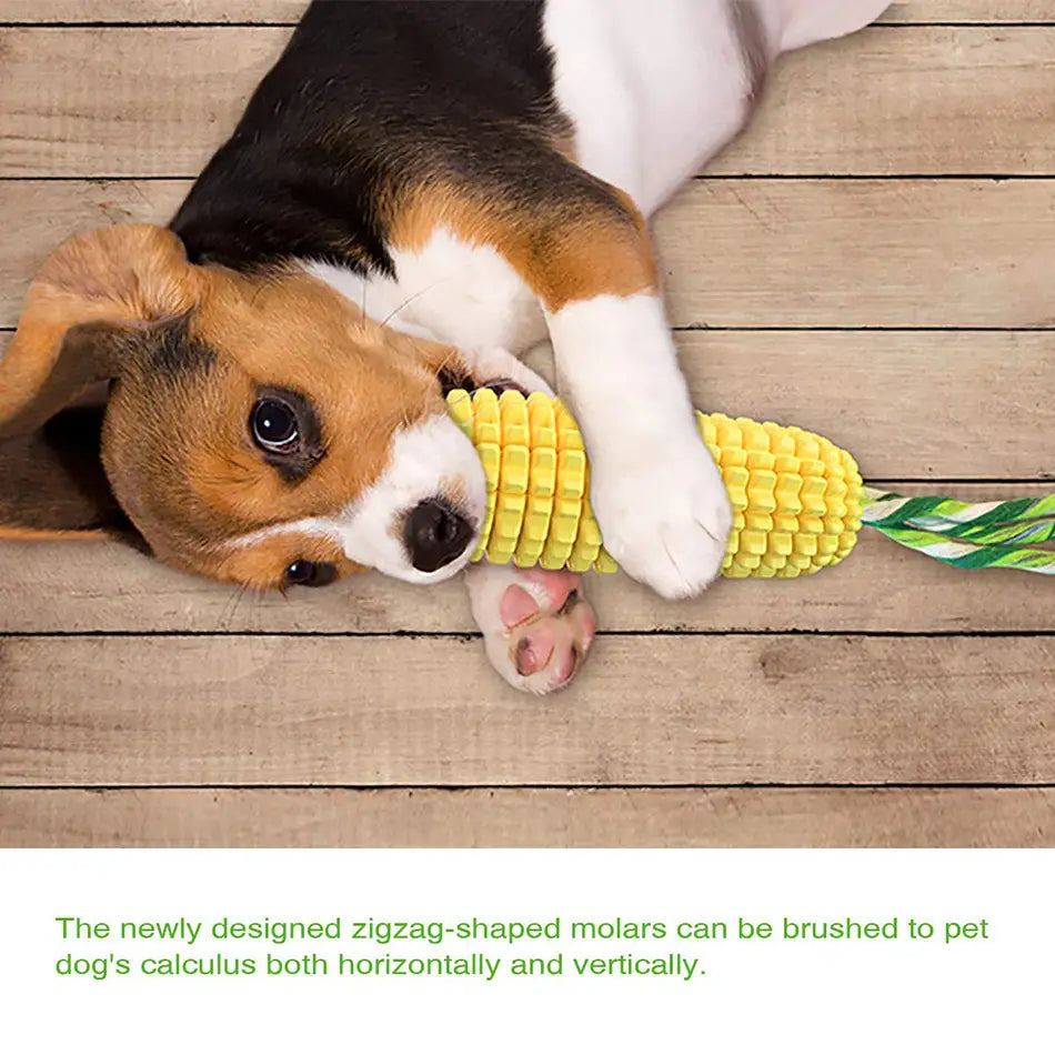 Pet Dog Toy Interactive Rubber Balls for Small Large Dogs Puppy Cat Chewing Toys Pet Tooth Cleaning Indestructible Dog