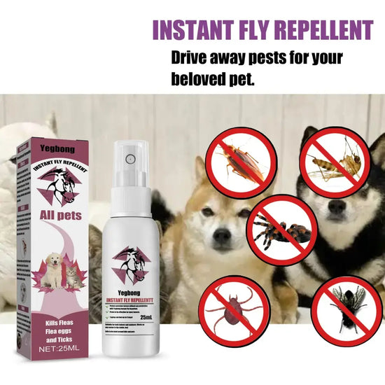 Pet Flea & Tick Spray – Safe for Dogs Cats & Home - flea/tick control