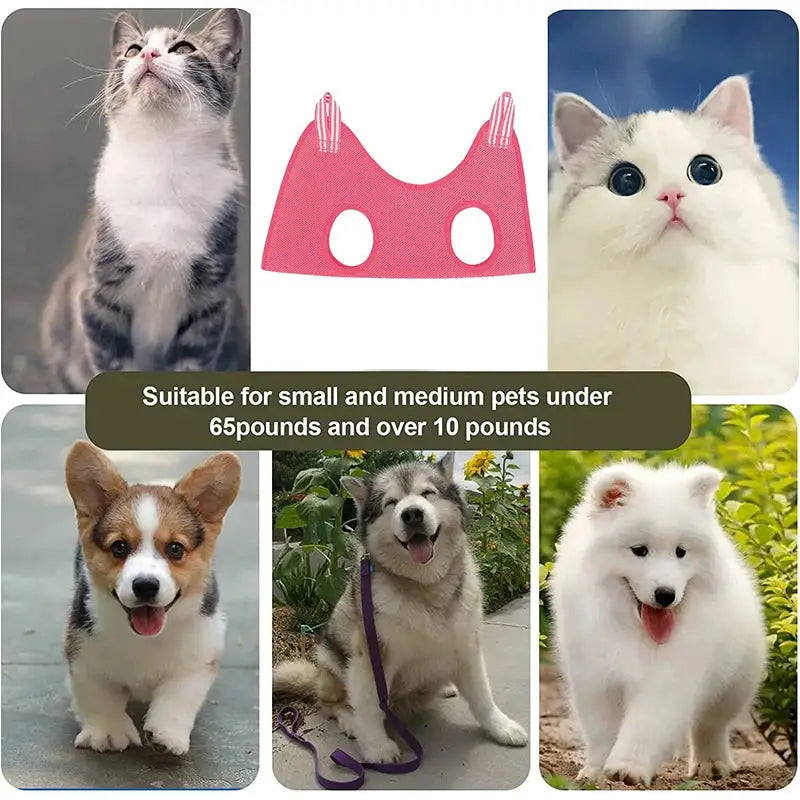 Pet Grooming Hammock for Cats & Dogs - pet grooming supply