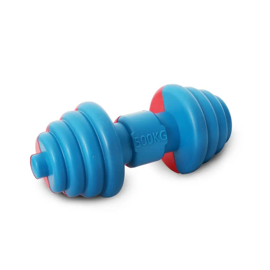 Pet Life Iron-Wag Durable Water Floating Chew And Fetch Dog Toy - DT17RDB - dog toy