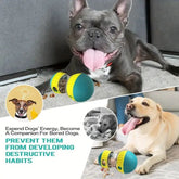 Pet Slow Food Feeder Interactive Toy for Anti Choking Bowl