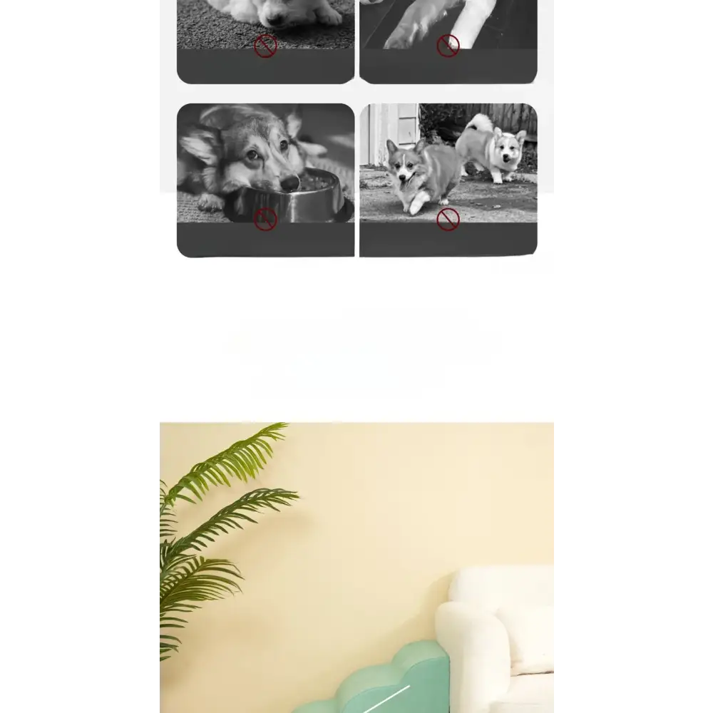 Pet Stairs & Ramp – Memory Foam Washable Cover - Pet stairs