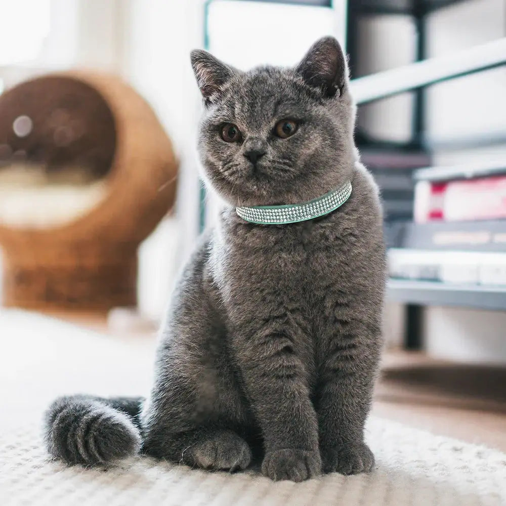 Pink Suede Rhinestone Cat Collar with Bell - cat collar