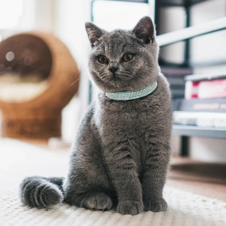 Pink Suede Rhinestone Cat Collar with Bell - cat collar