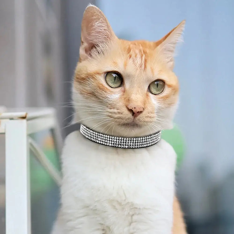 Pink Suede Rhinestone Cat Collar with Bell - cat collar