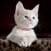 Pink Suede Rhinestone Cat Collar with Bell - cat collar
