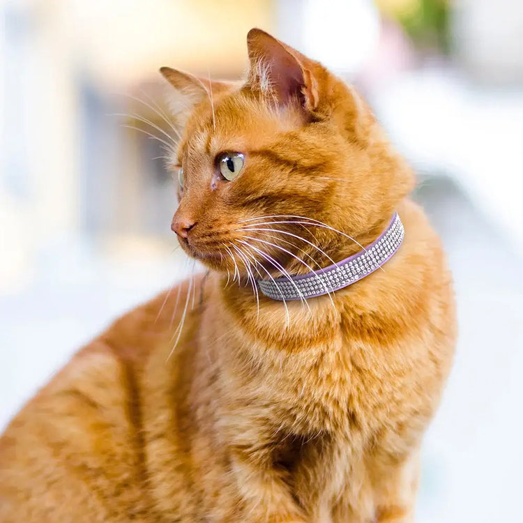 Pink Suede Rhinestone Cat Collar with Bell - cat collar