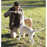 Pull Away’ Rope and Tennis Ball