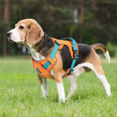 Reflective Mesh Dog Harness – Adjustable Vest - dog harness