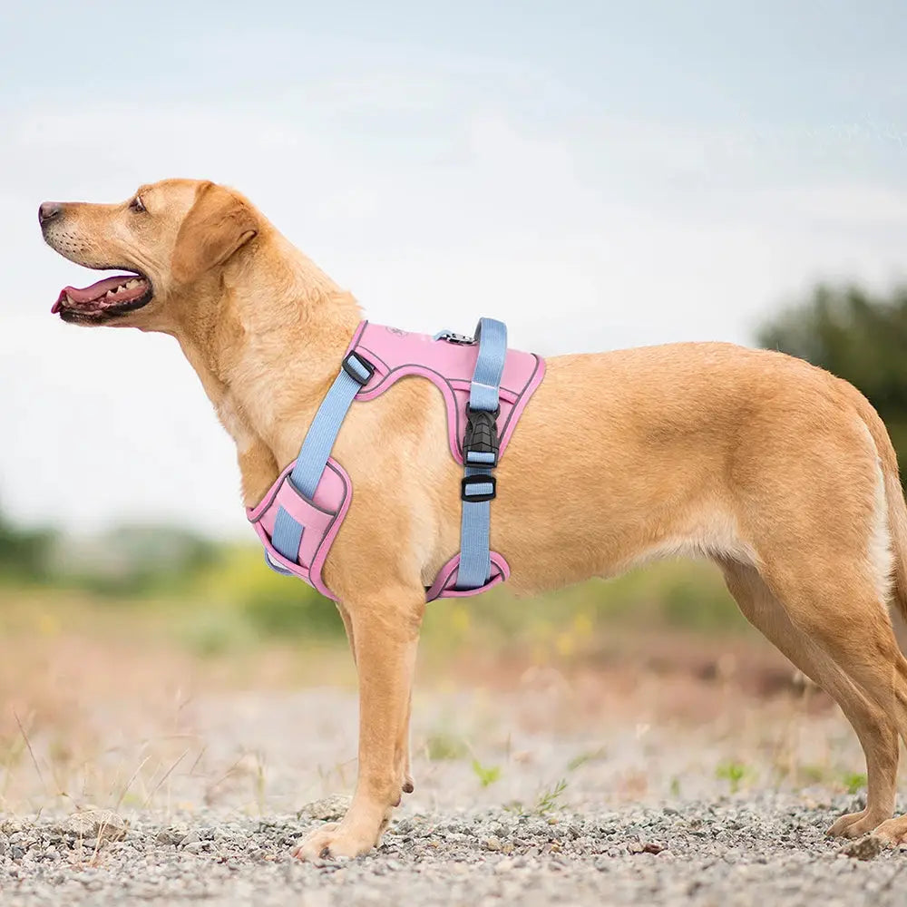 Reflective Mesh Dog Harness – Adjustable Vest - dog harness
