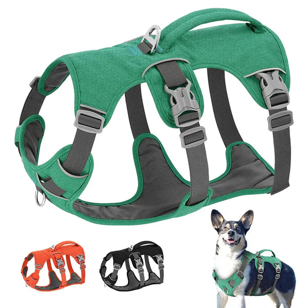 Reflective Nylon Dog Harness with Handle - dog harness