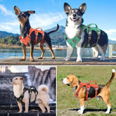 Reflective Nylon Dog Harness with Handle - dog harness