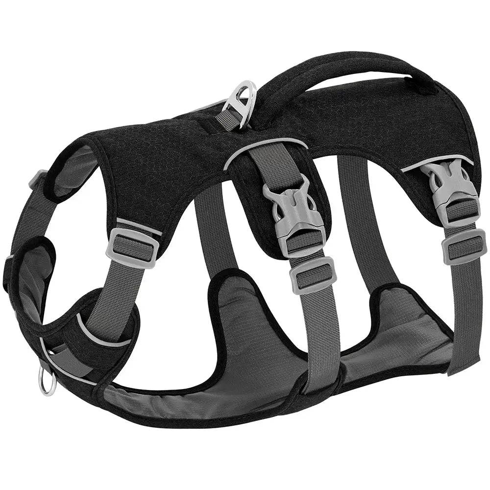 Reflective Nylon Dog Harness with Handle - Black / M - dog harness