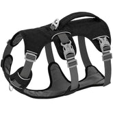 Reflective Nylon Dog Harness with Handle - Black / M - dog harness