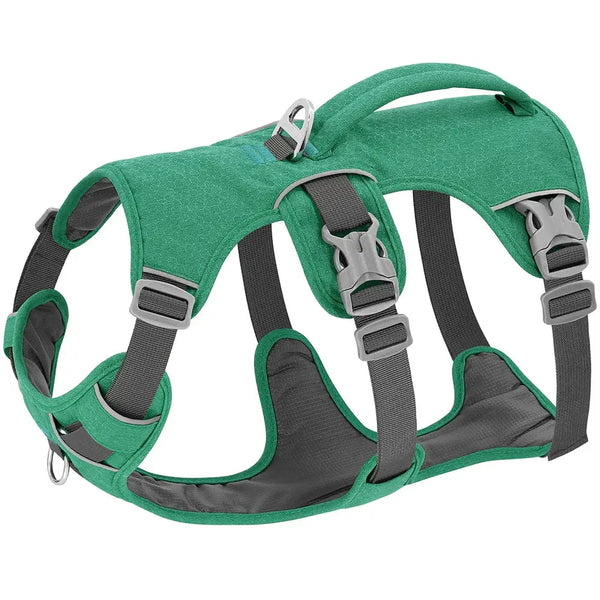 Reflective Nylon Dog Harness with Handle - Green / M - dog harness