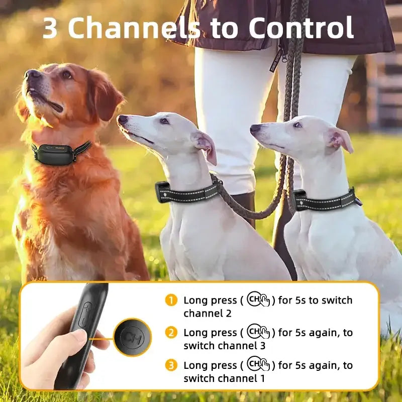 ROJECO Waterproof Dog Training Collar with Remote - Dog training collar
