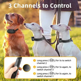 ROJECO Waterproof Dog Training Collar with Remote - Dog training collar