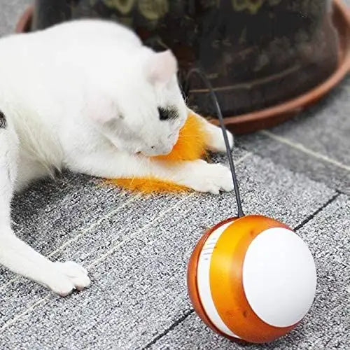 Rolling Pet Toys Interactive 360 Degree Automatic Self Rotating LED Light Sound Cat Chaser Ball Exercise