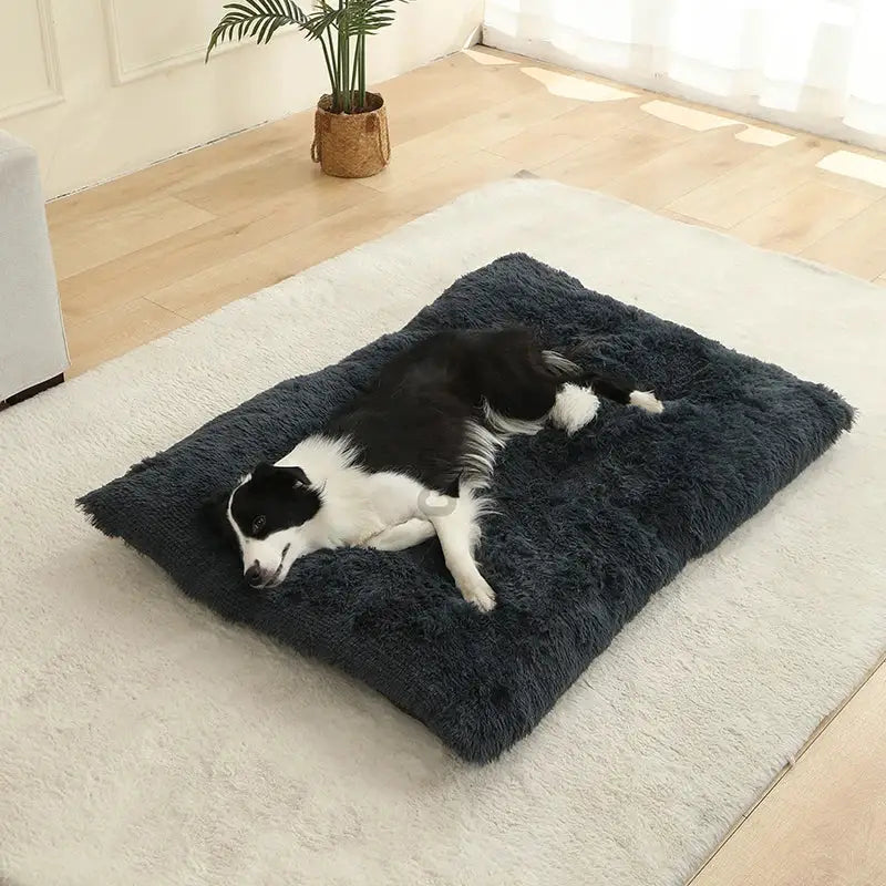 Soft Dog Beds House Soft Long Plush Best Pet Dog Bed For Dogs Basket Pet Products Cushion Cat Bed Cat Mat Animals