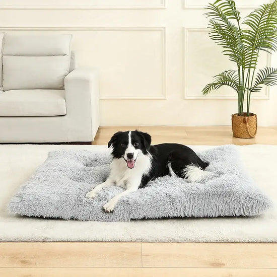 Soft Dog Beds House Soft Long Plush Best Pet Dog Bed For Dogs Basket Pet Products Cushion Cat Bed Cat Mat Animals
