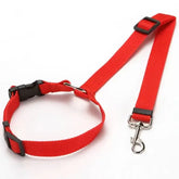 Solid Color Two-in-one Pet Car Seat Belt Nylon Lead Leash Backseat Safety Belt Adjustable Dogs Harness Collar Pet