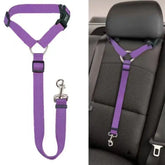 Solid Color Two-in-one Pet Car Seat Belt Nylon Lead Leash Backseat Safety Belt Adjustable Dogs Harness Collar Pet