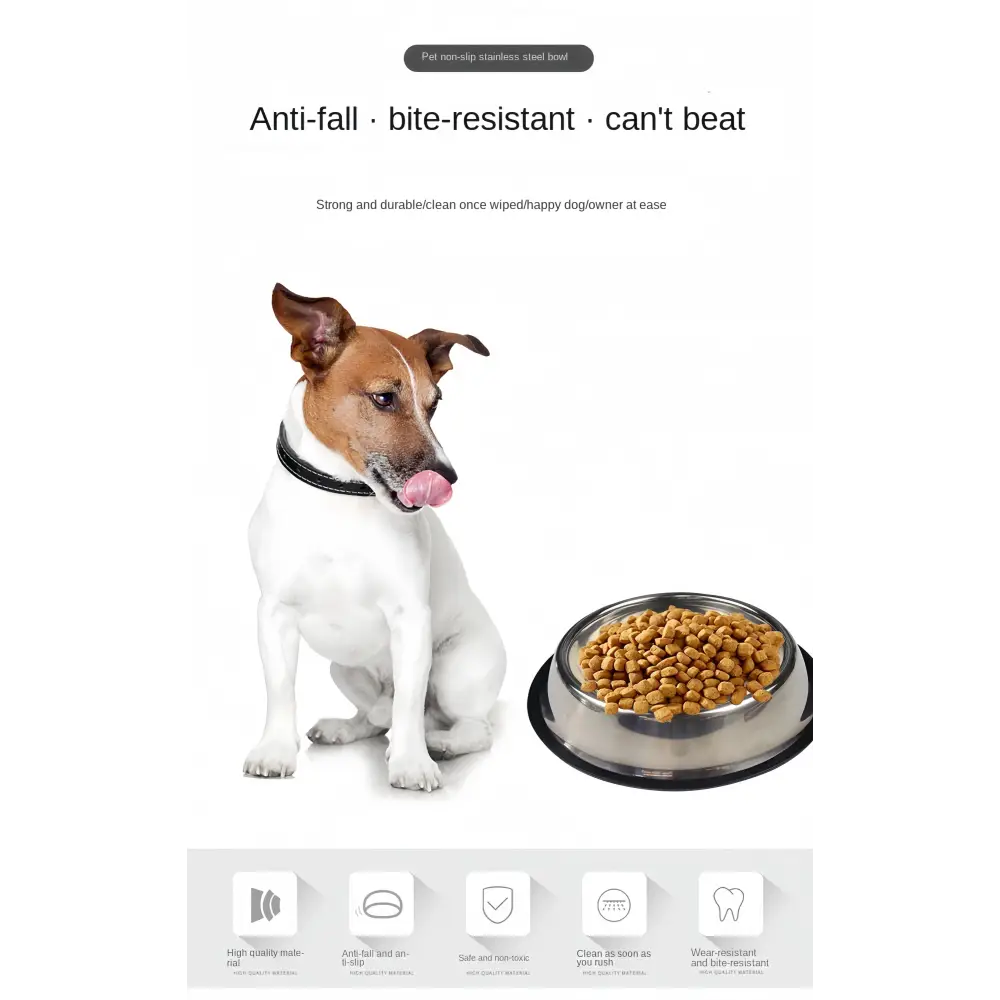 Stainless Steel Pet Feeding Bowl – 6 Sizes - pet bowls