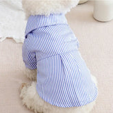 Striped Summer Dog Shirt with Bowknot – Blue - dog clothing