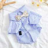 Striped Summer Dog Shirt with Bowknot – Blue - dog clothing