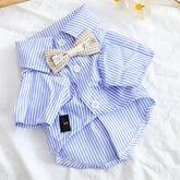 Striped Summer Dog Shirt with Bowknot – Blue - blue / M - dog clothing