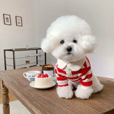 Summer Stripe Polo Shirt for Dogs - dog clothing