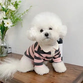 Summer Stripe Polo Shirt for Dogs - dog clothing