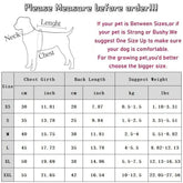 Summer Stripe Polo Shirt for Dogs - dog clothing