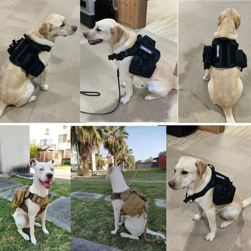 Tactical Dog Harness & Leash Set - dog harness