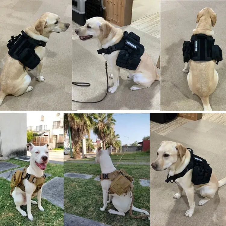 Tactical Dog Harness & Leash Set - dog harness