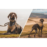 Tactical Dog Harness & Leash Set - dog harness