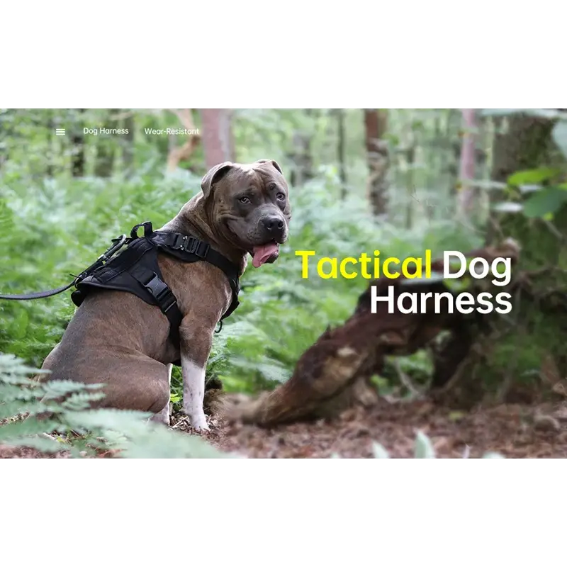 Tactical Dog Harness & Leash Set - dog harness