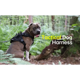 Tactical Dog Harness & Leash Set - dog harness