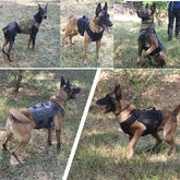 Tactical Dog Harness & Leash Set - dog harness