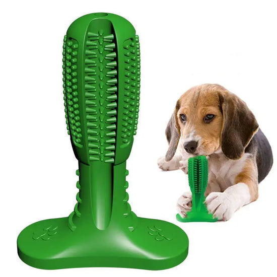 Teeth Cleaning Chew Toy - Small - dog toy