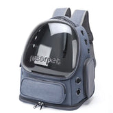 Transparent Cat Travel Backpack Carrieries - Blue - cat carrier