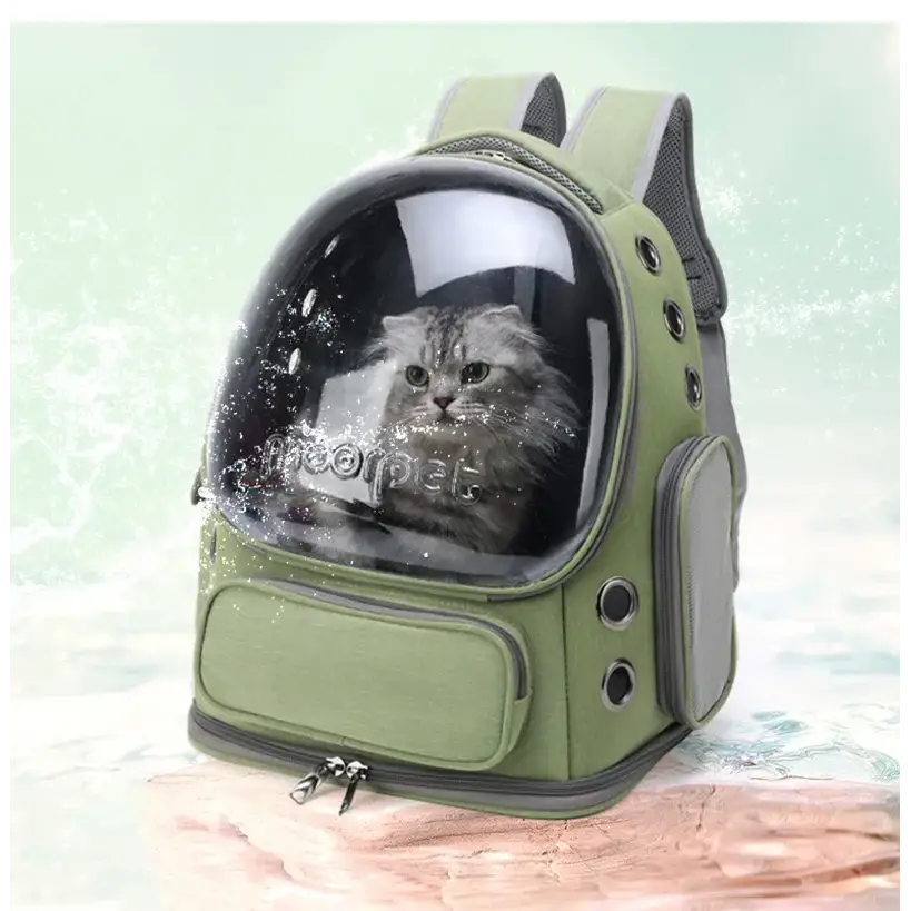 Transparent Cat Travel Backpack Carrieries - cat carrier