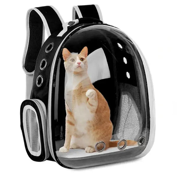 Transparent Space Capsule Pet Backpack - Black without cover / CHINA - cat carrier