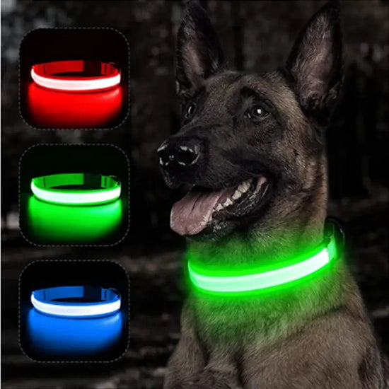 USB Rechargeable Luminous Collar Adjustable Led Glowing Dog Collar for Large Small Dogs Cat Night Light Collar Pet