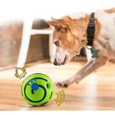 Wobble Wag Giggle Ball Dog Toy – Makes Fun Sounds When Rolled or Shaken - dog toys